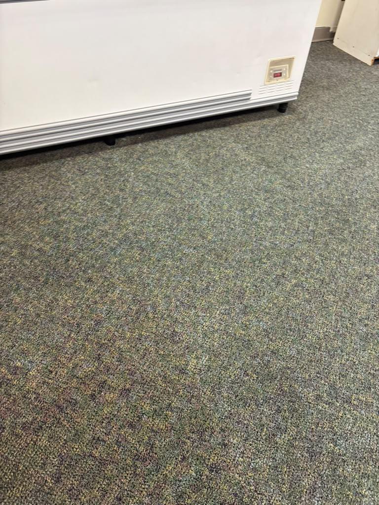 Fresh commercial carpet after professional cleaning